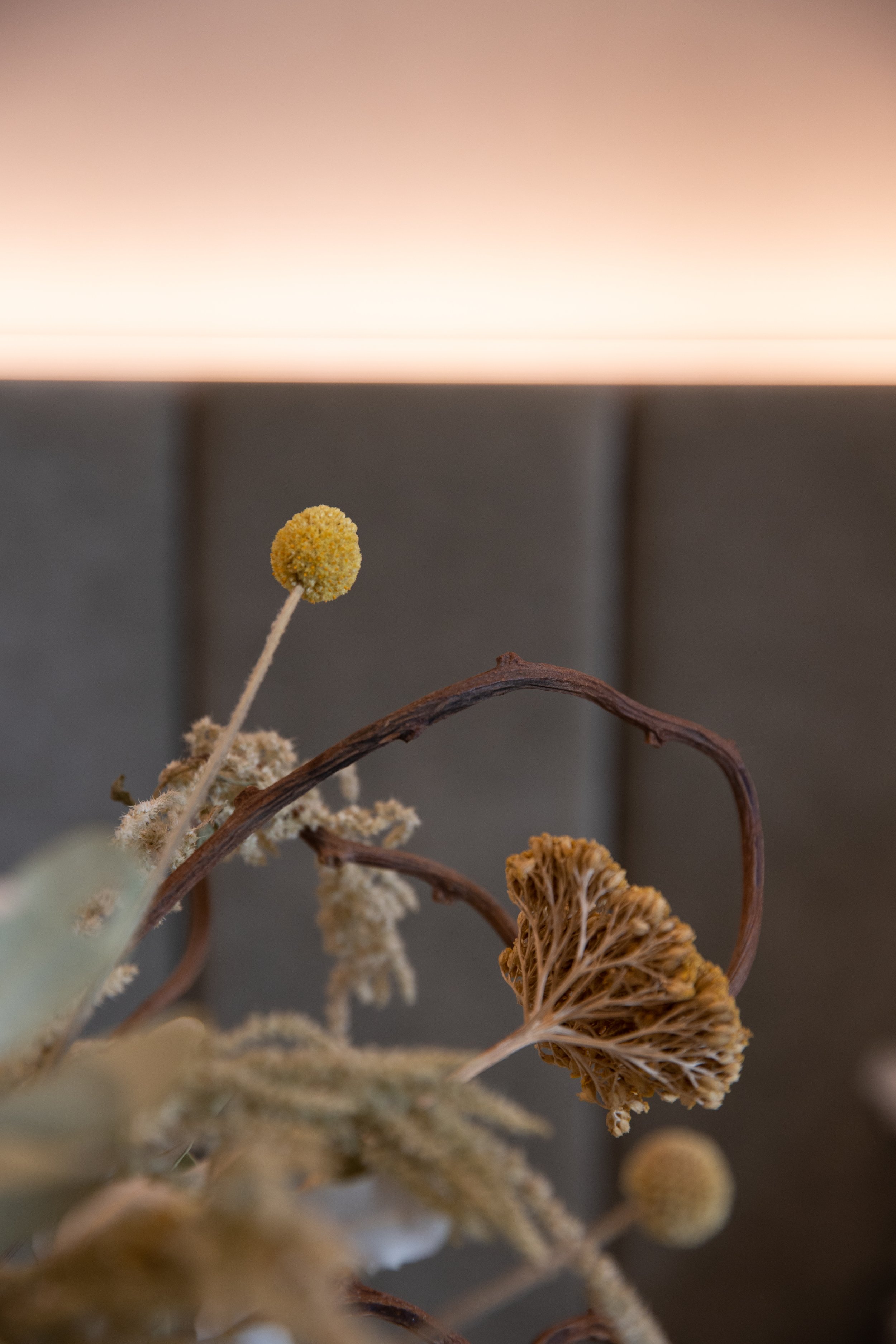 2S4A7932.jpg