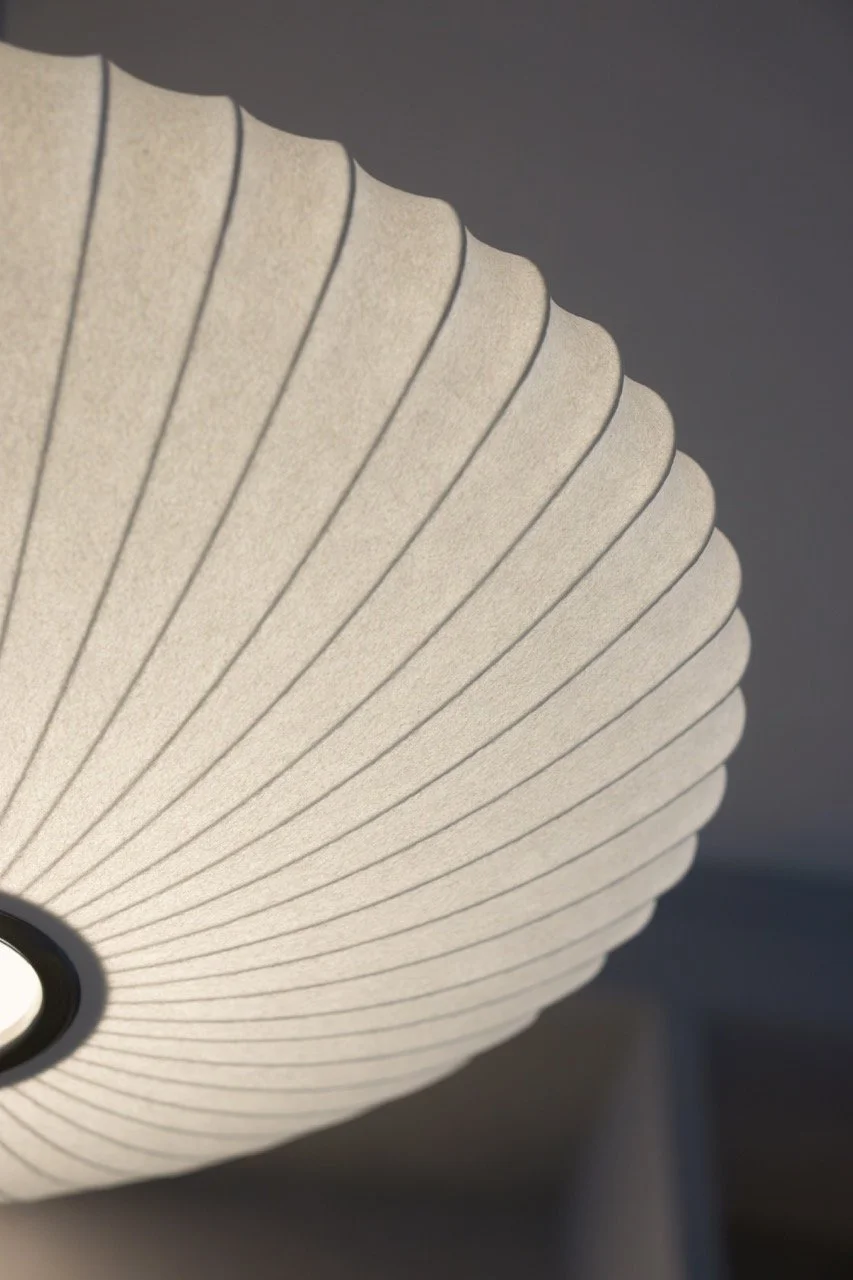 DSC08360-Enhanced-NR Large.jpeg