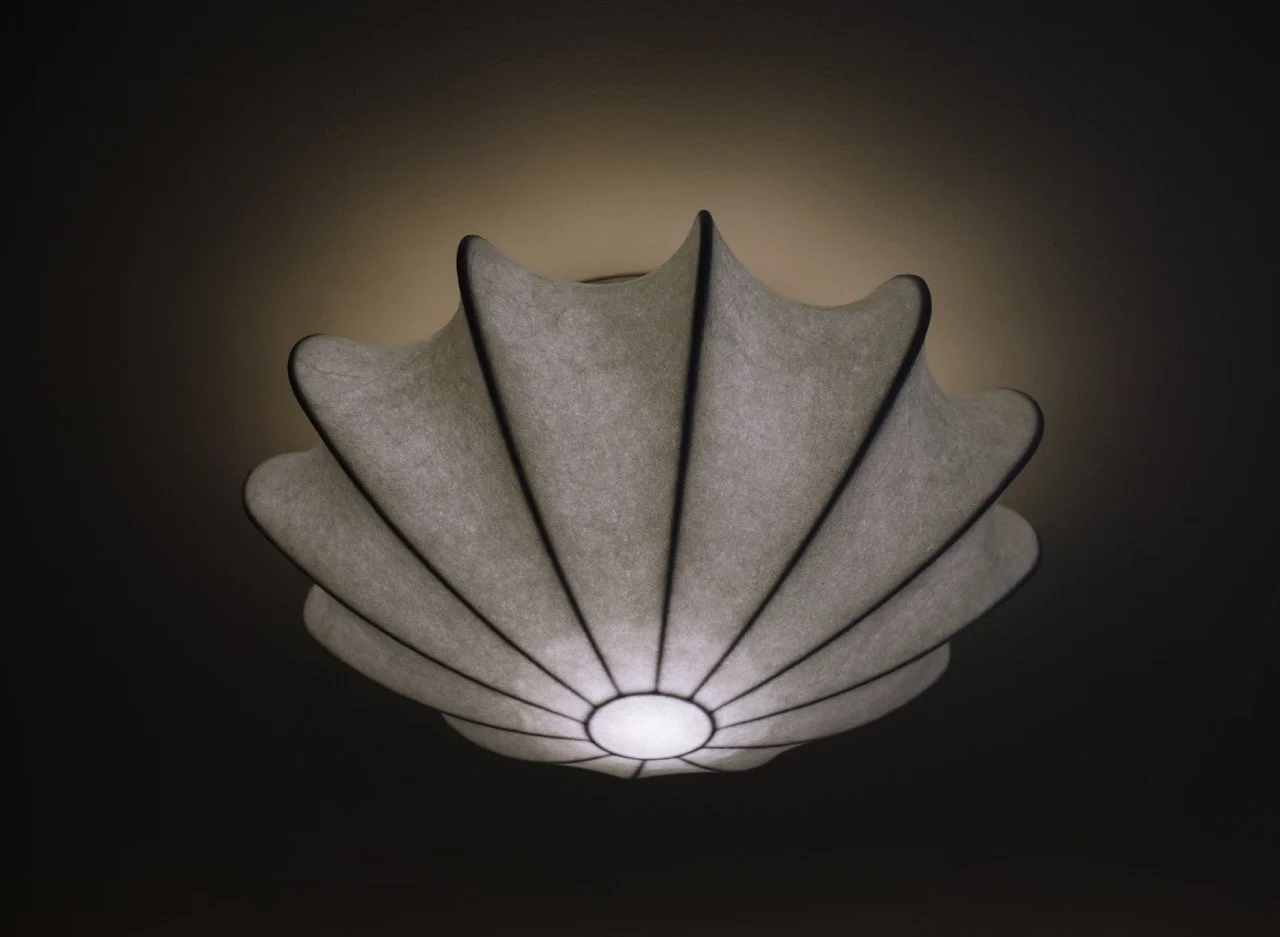 DSC08456-Enhanced-NR Large.jpeg