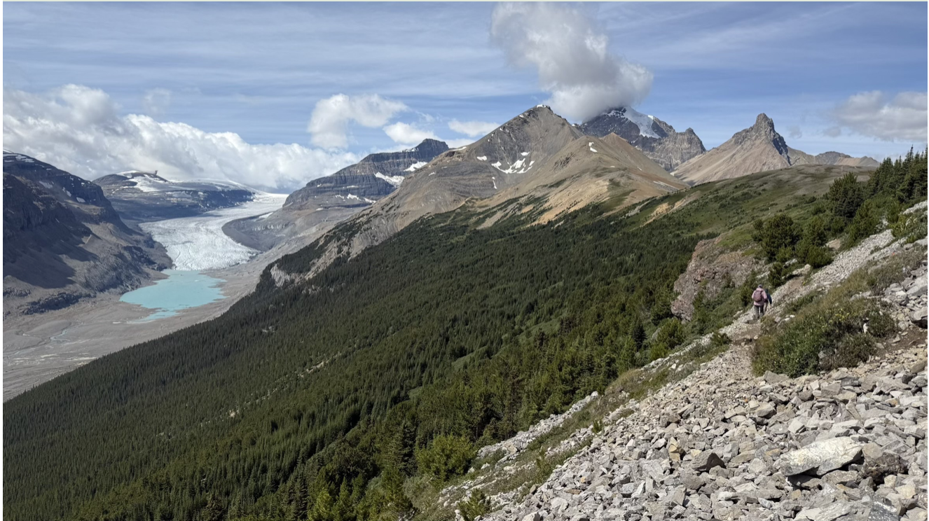 Finding Balance: A Holistic Path to Vestibular Health