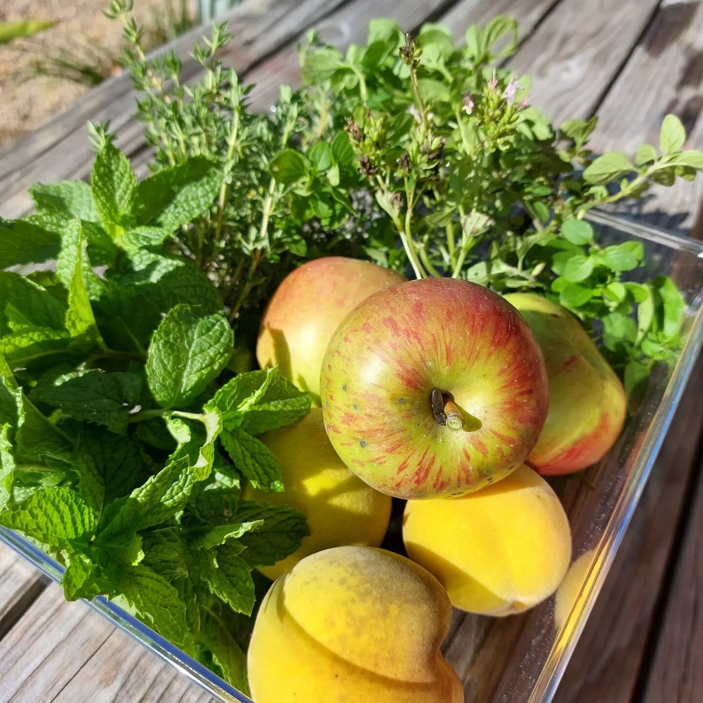 Garden treats, I'm feeling very grateful to have a garden and green fingered loved ones in my life!  The feijoas are starting to drop, rhubarb is coming on nicely and me thinks it might be a crumble sort of night. Autumn has a way making you love it 