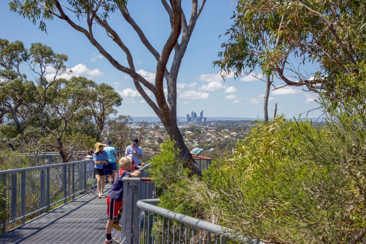 Family with children walking along the Reabold Hill bridge in Bold Park, Floreat, WA, with views of Perth city on the horizon under a blue sky with low clouds