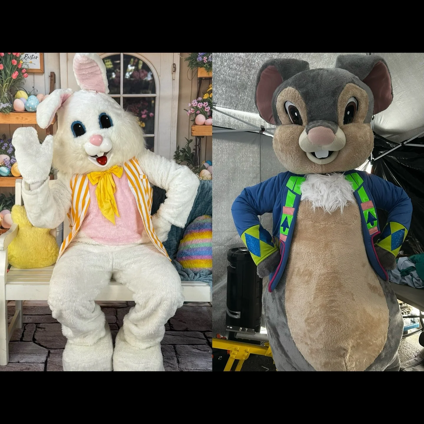 Dear friends, I was was NOT expecting so many people to believe my post from last night. 

Someone reposted in an Ugly Bunny page connecting our post. 🤣 

That was indeed an April Fools joke. 

I appreciate the evolution of the Easter Bunny &amp; ho