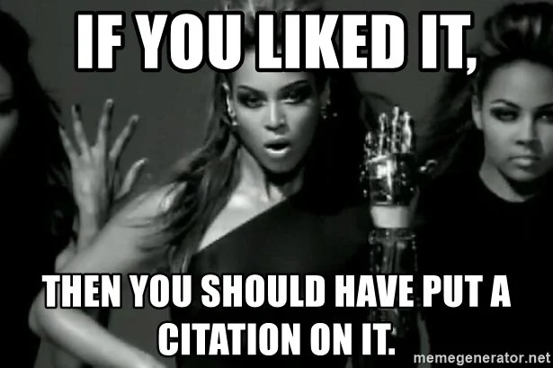 if-you-liked-it-then-you-should-have-put-a-citation-on-it.jpg
