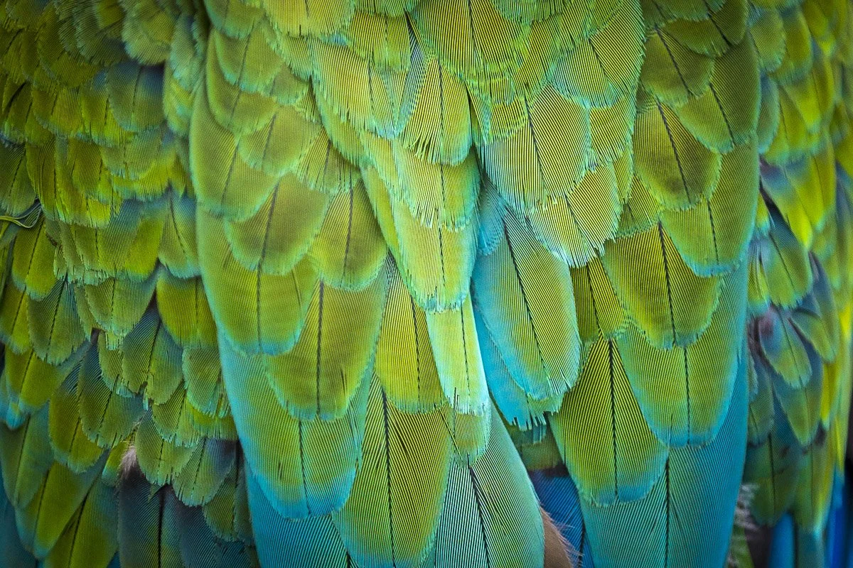 Costa Rica & the Panama Canal 2027