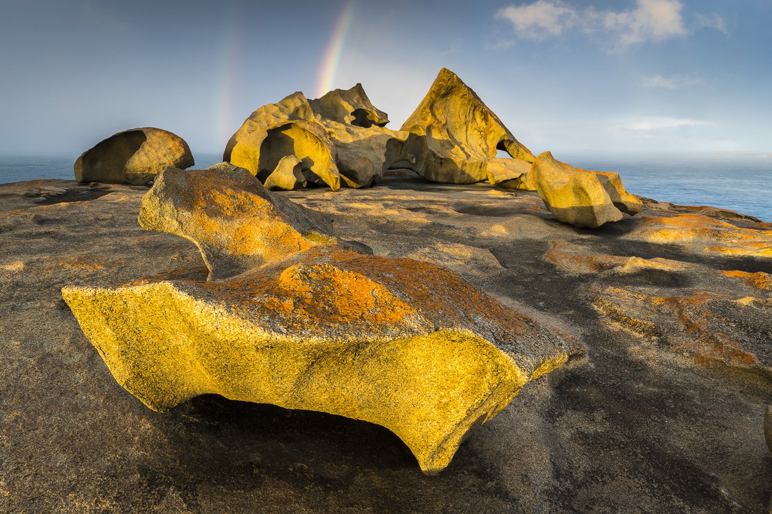 Kangaroo Island Photo Safari 2025