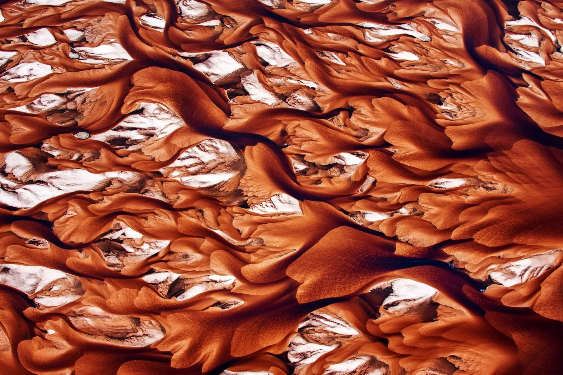 Brazil: Pantanal & Lençóis Maranhenses 2028