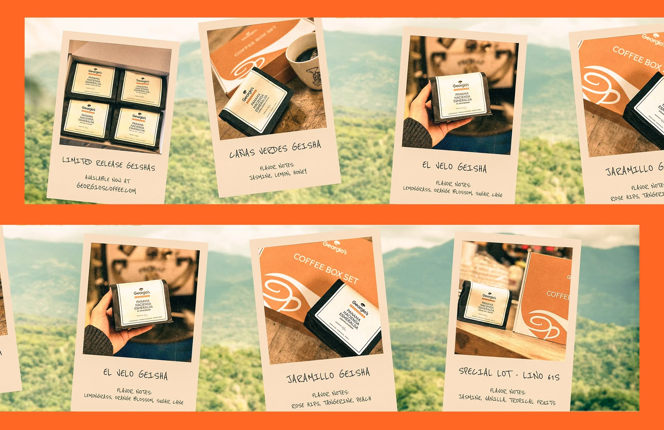 Photos of different coffee products and packaging with handwritten notes on a scenic outdoor background.