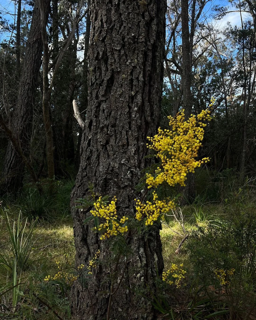 Seasons Greetings from all of us who make The Yoga Factory! 

Looking ahead to 2026 &mdash; brighter, better, and ever-evolving, held by many hands💚🌀.

Thank you for turning up and, in doing so, making the world a better place, and all of us a litt