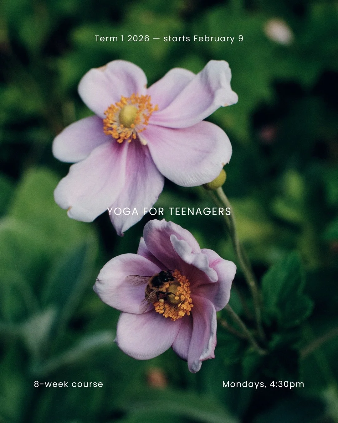 Most young people are rarely taught how to work with their body and mind in a sustained, practical way &mdash; especially during adolescence, when pressure increases but space to slow down often disappears.

In this weekly practice, we build physical