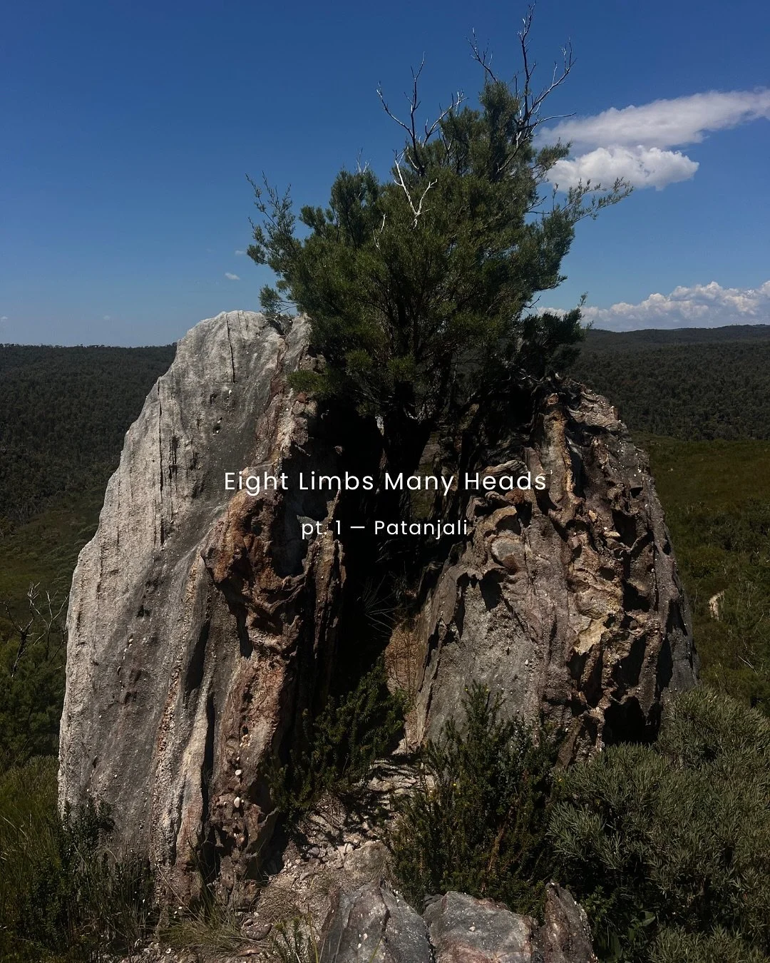 At TYF we work with eight-limb yoga as a practical framework for living with a little more clarity. It asks questions about conduct, attention, effort, embodiment, and the mind&rsquo;s tendency to run ahead of itself. The method is old, the work is o