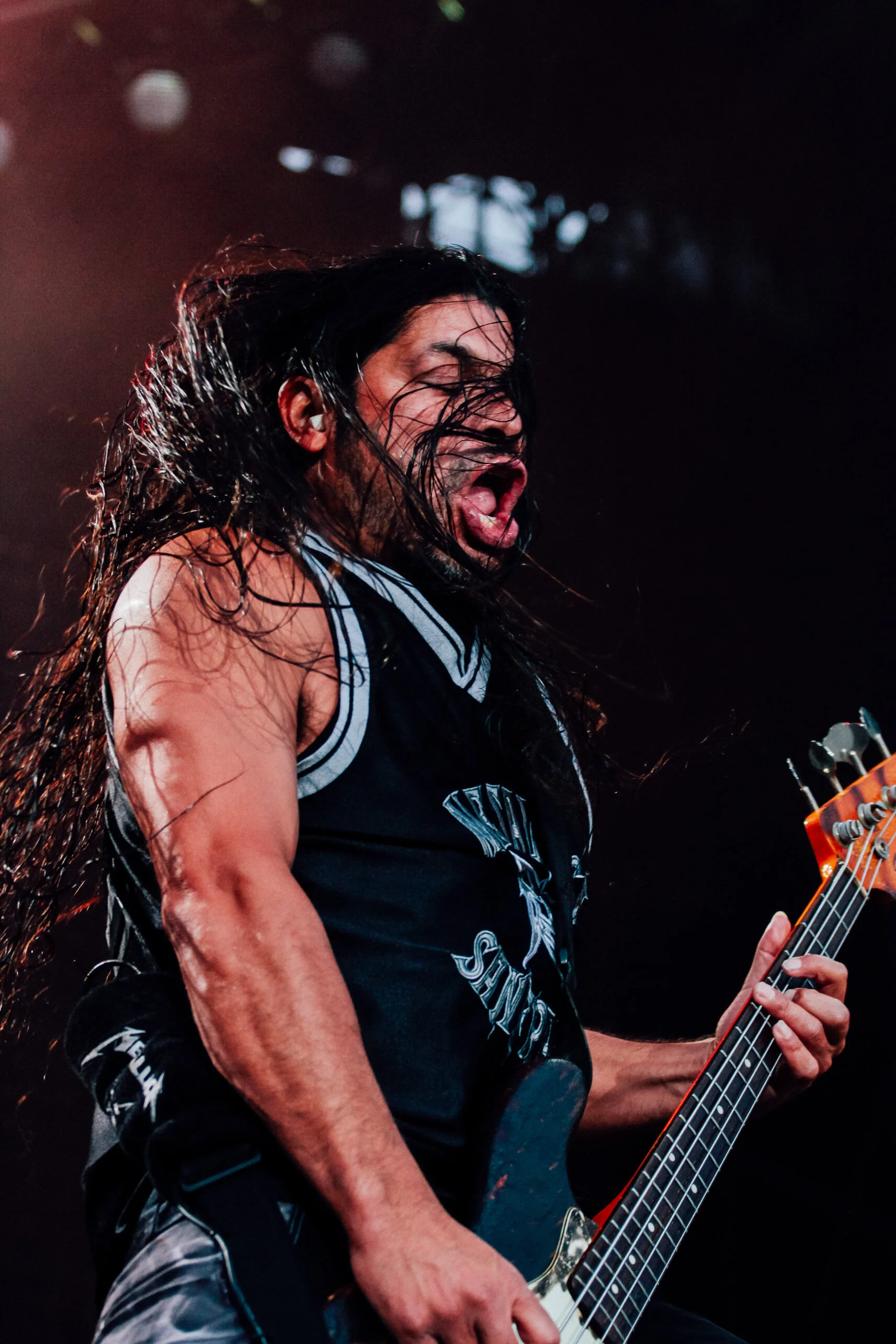 Metallica_14_Detroit_Sal_Rodriguez_4-2-16.jpg