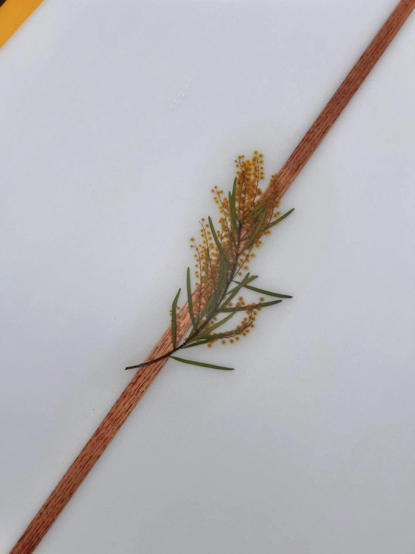 Throw back to wattle season, custom work for @london._.ash