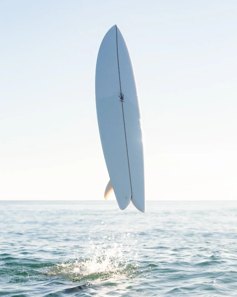 top-twin-fin-fish-surfboard.jpg