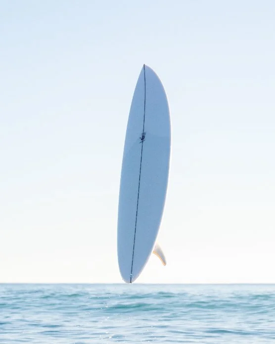 top-twin-pin-surfboard.jpg
