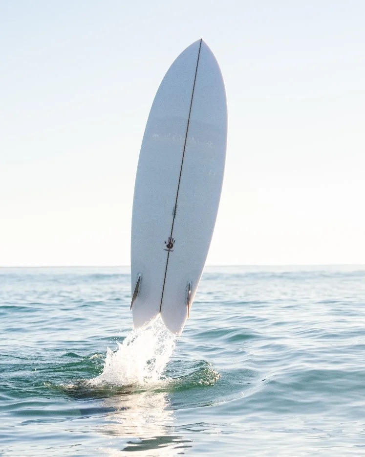 bottom-twin-fin-fish-surfboard.jpg