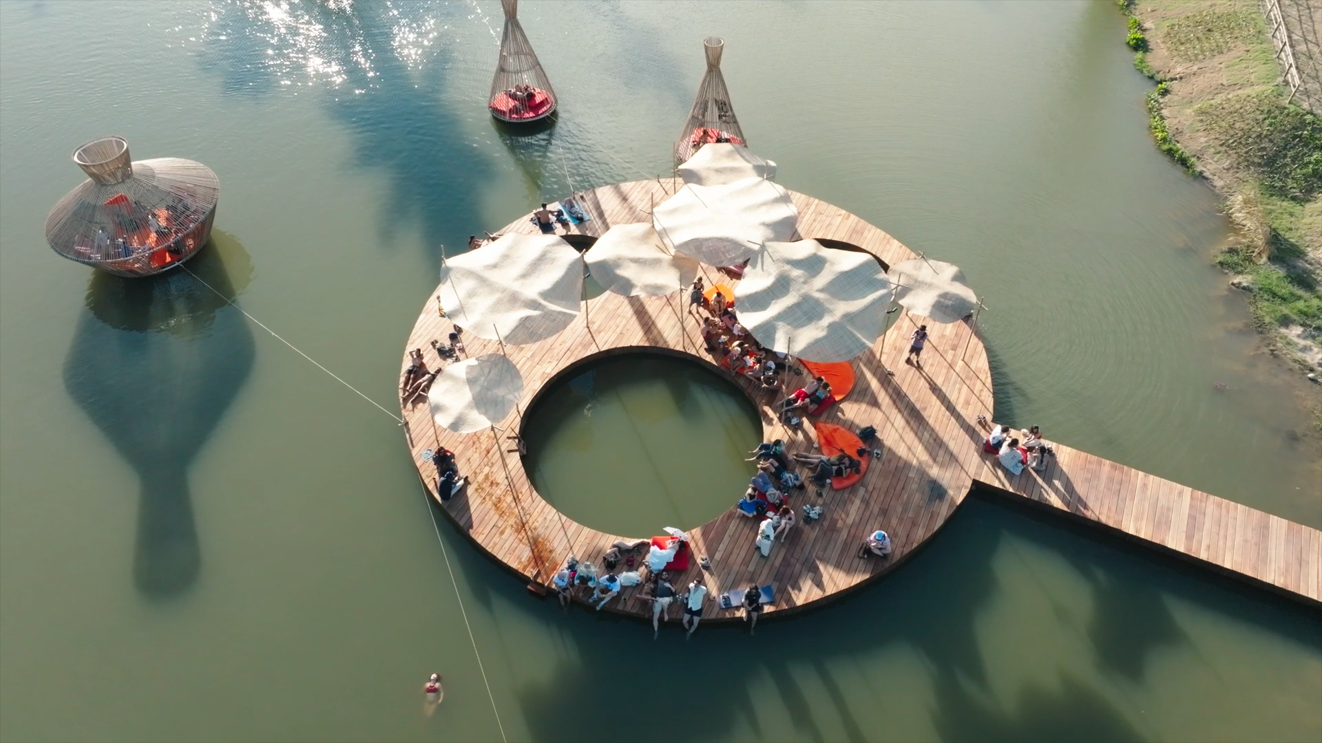 ‘WONDERFRUIT’ INSIGHTS