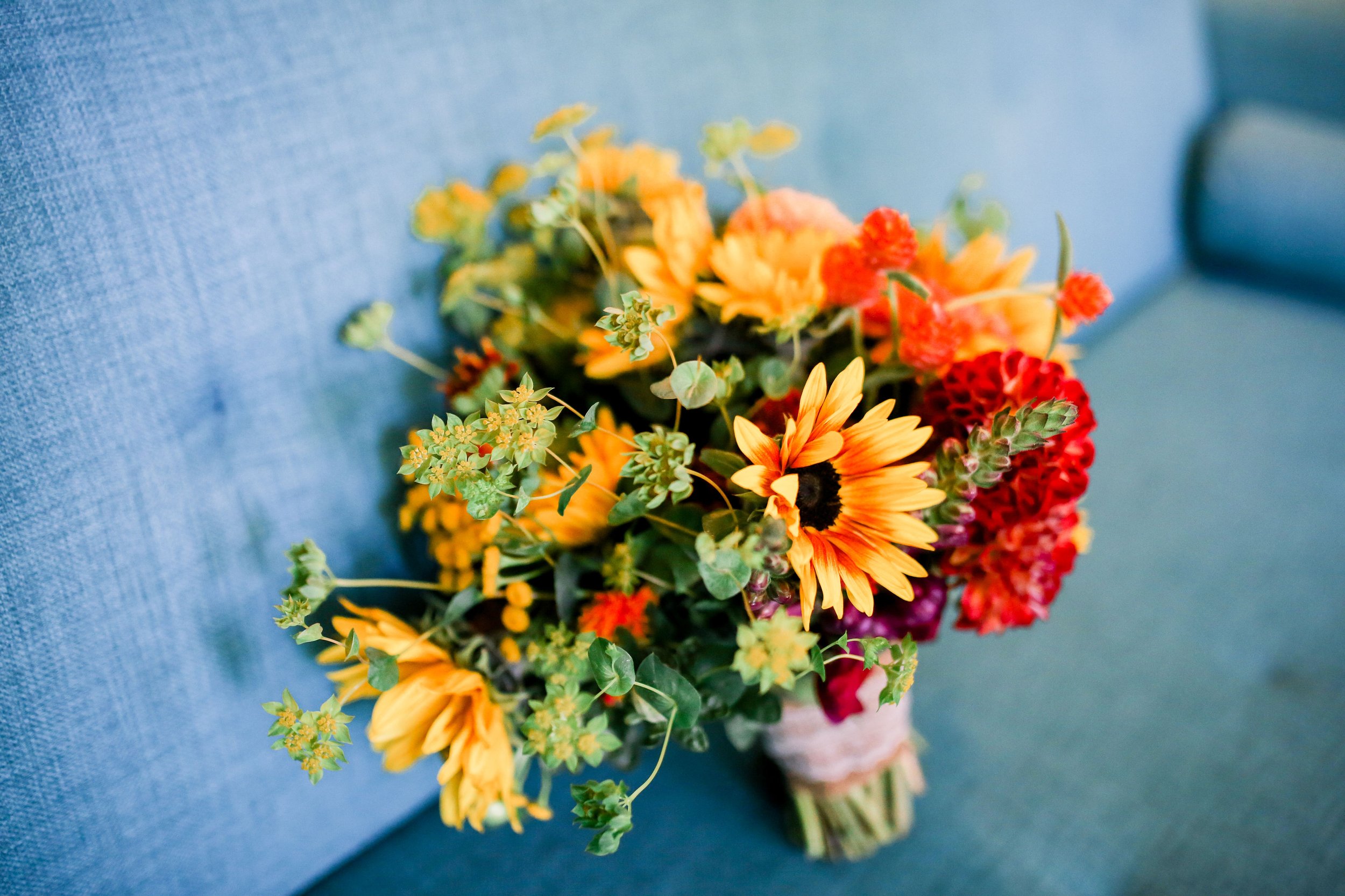 De_Joy_Photography_15.jpg