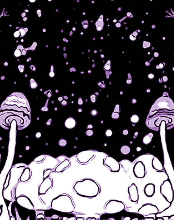 Episode 251: Psychedelics + Neuroscience + Symposium, Panel