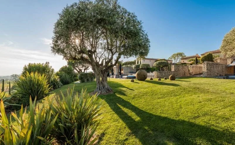 Domaine des Andéols - Gordes