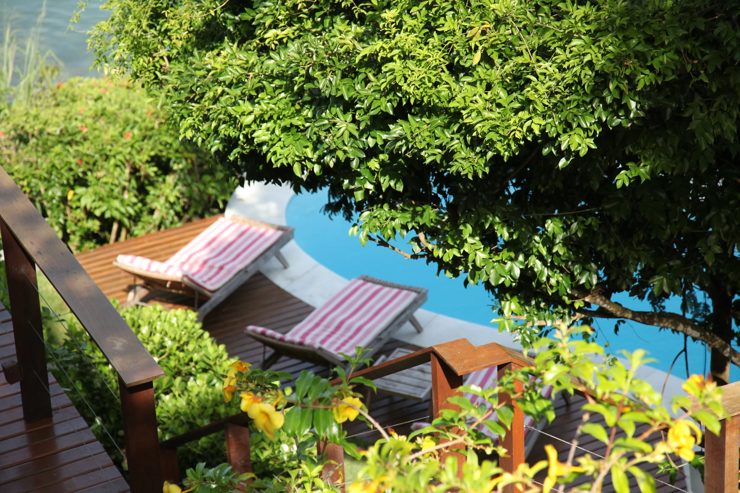 VISTA PISCINA HONEYMOON.JPG