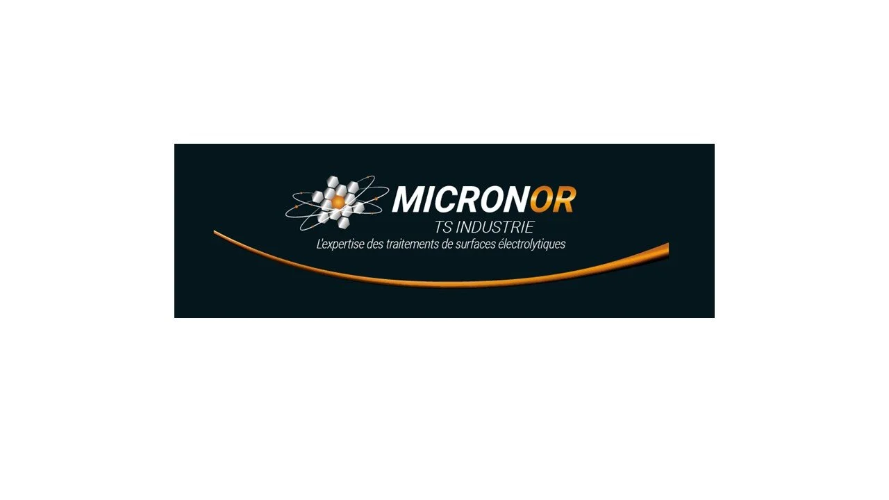 MICRONOR TS INDUSTRIE