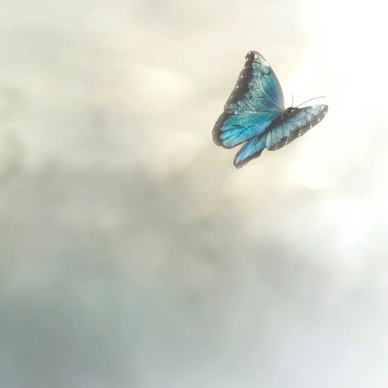 Muistisairaan ihmisen kohtaaminen ja yhteyden rakentuminen