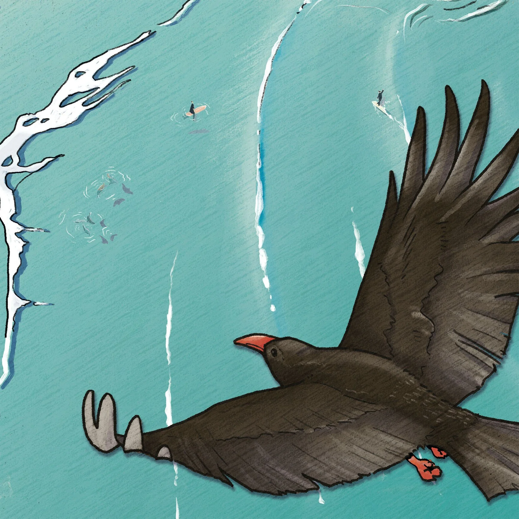 Coming Soon... Kennack Sands Interpretation Board