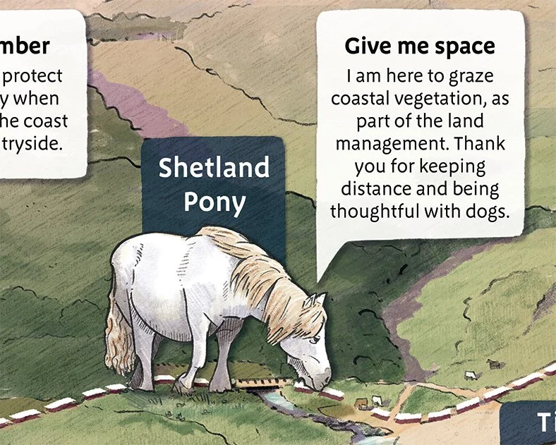 The details... A 'Shetland Pony' pointing her nose towards the miniature ponies on the landscape.