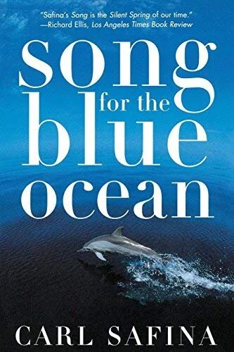 song for blue ocean.jpg