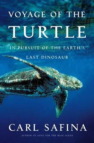 voyage of turtle.jpg