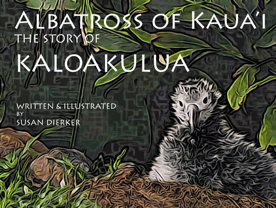 Susanʻs book cover.jpg