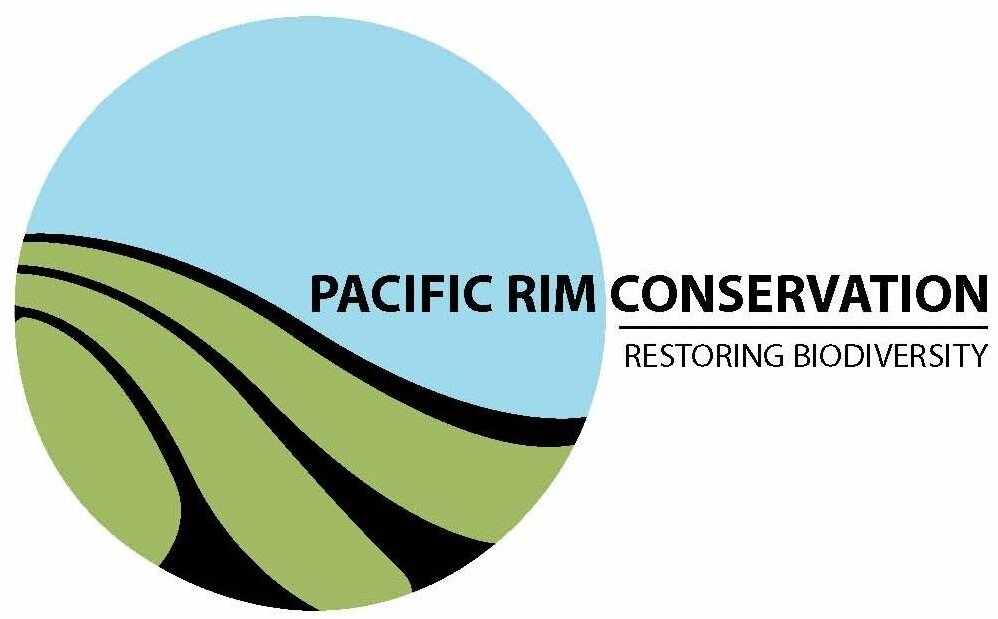 pac rim logo- high res (1).jpg