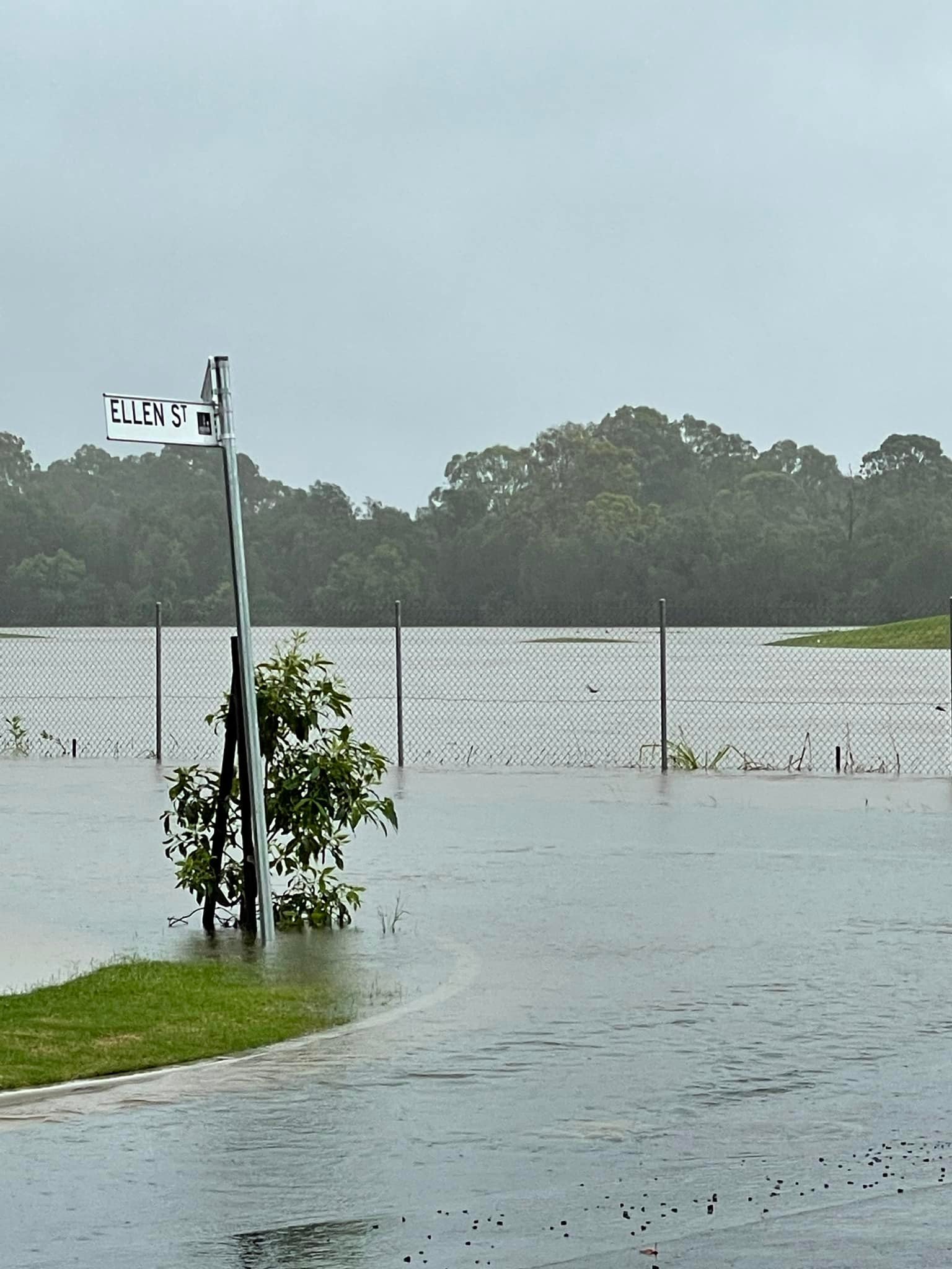 Minnippi golf course_2022 flooding.jpg