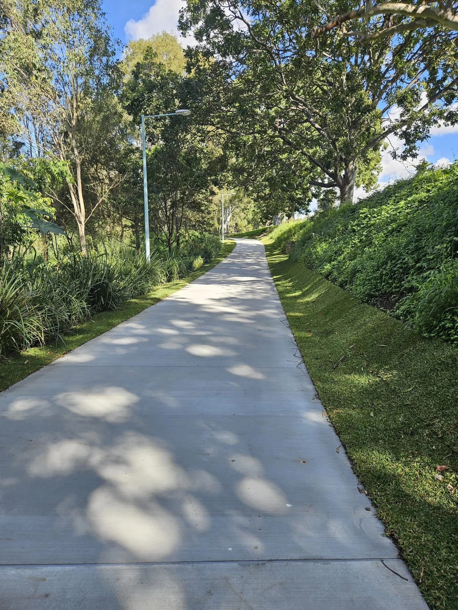 Bulimba Creek Bikeway, Edred St to Bedivere St .jpeg