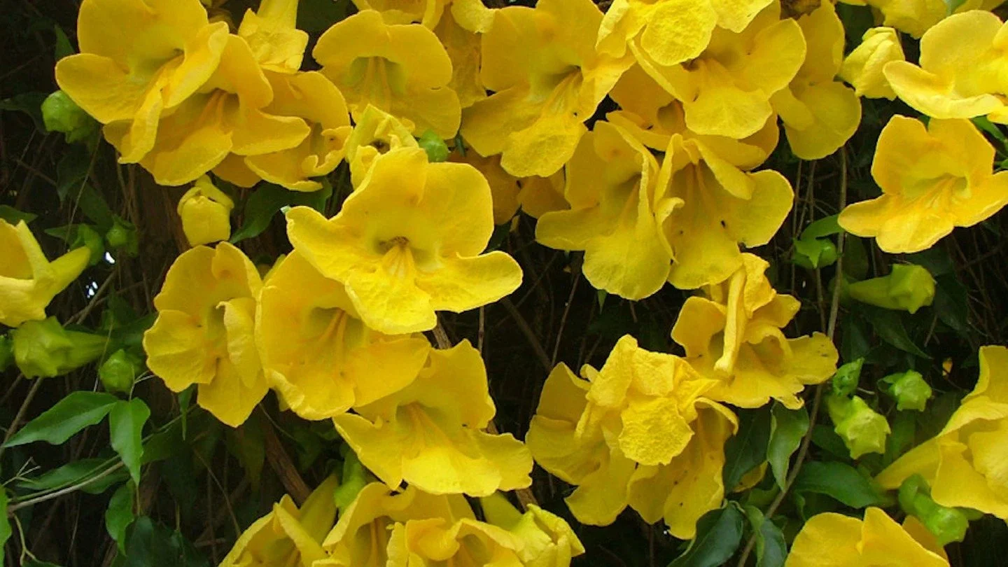 WhatsApp Image 2024-09-26 at 2.55.52 PM.jpeg