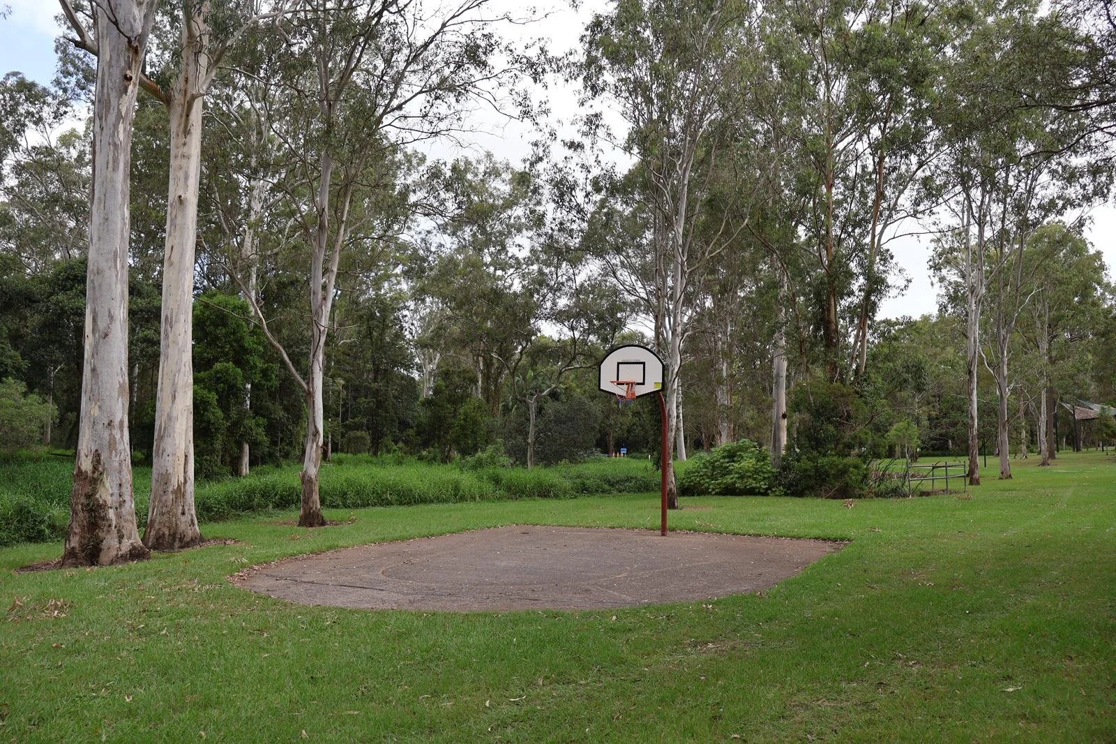 Meadowbank St Park Basketball Court Removal- Survey Results