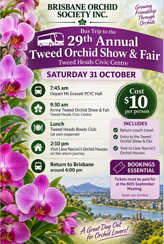 orchid bus trip.png
