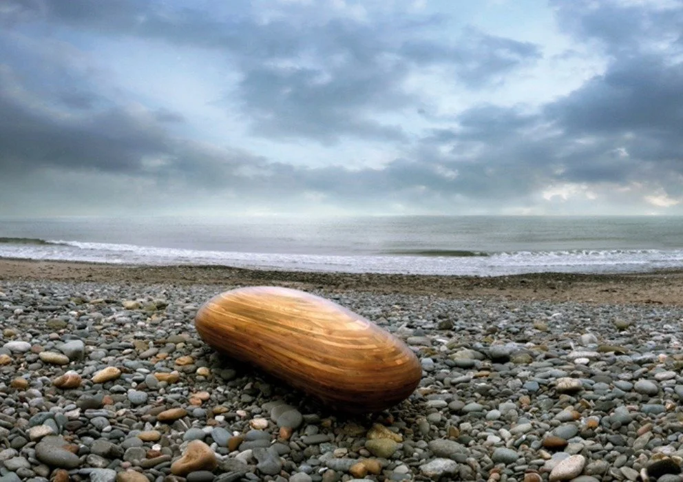 Nature as Blueprint: How the Natural World Shapes Our Design