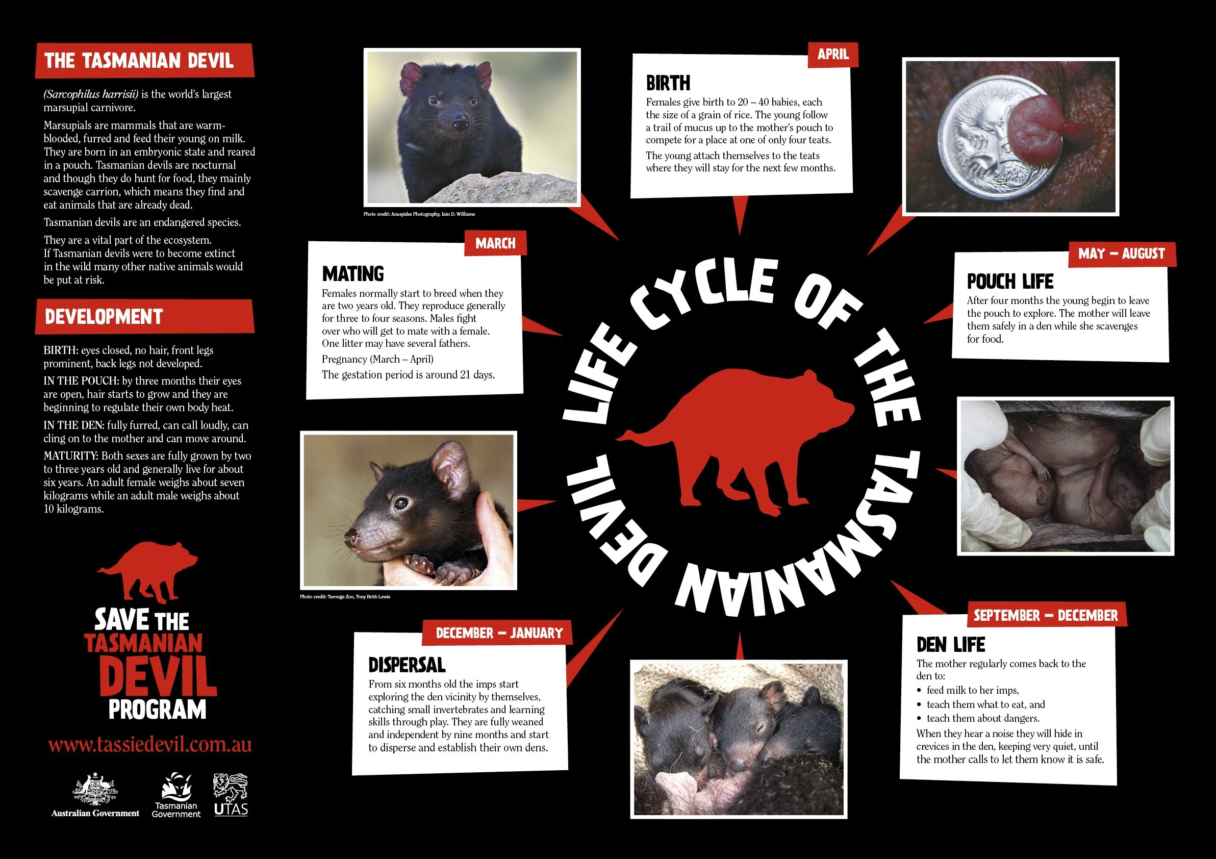 STT9745_Life+Cycle+Poster_A1_Landscape.jpg