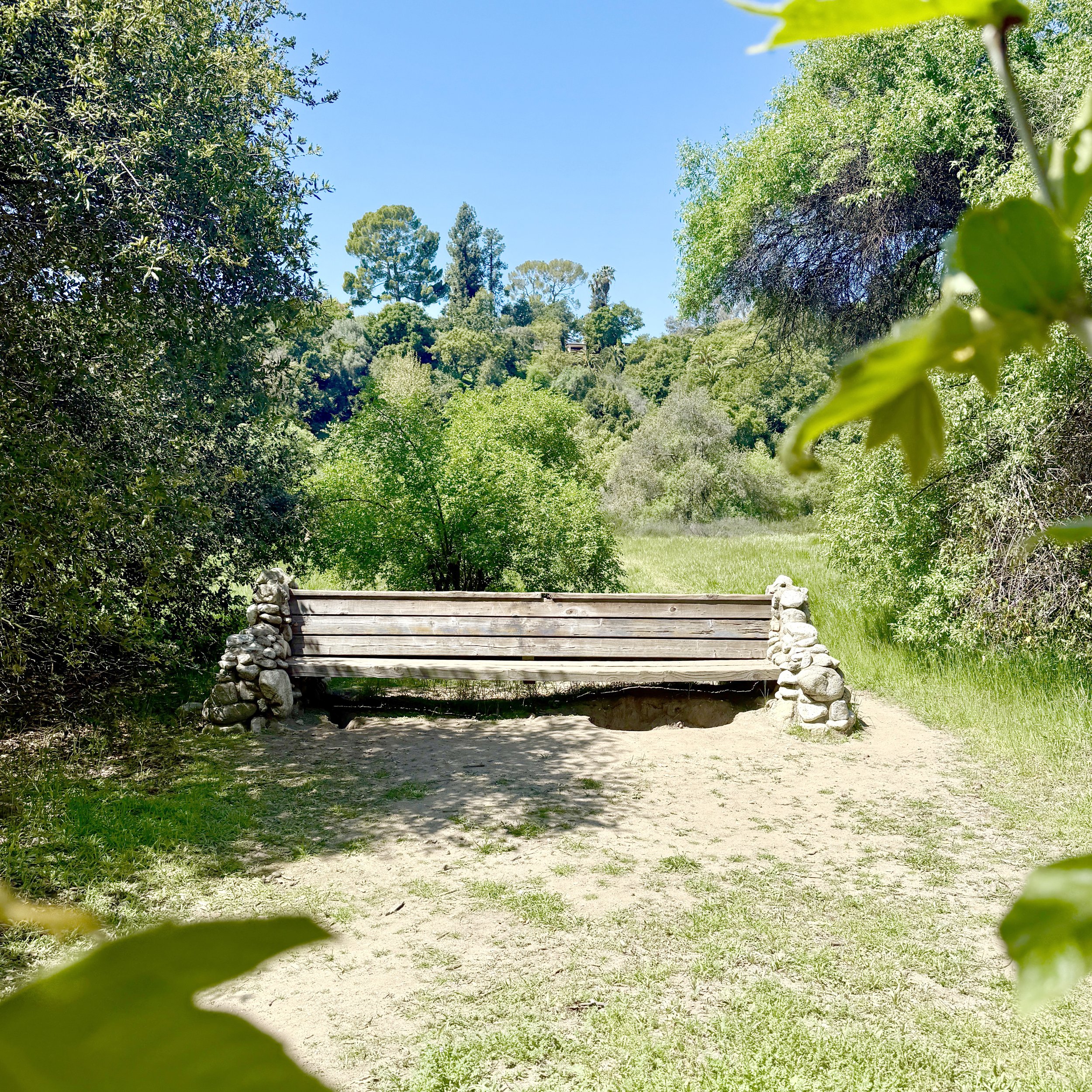 Martin's Bench.jpg