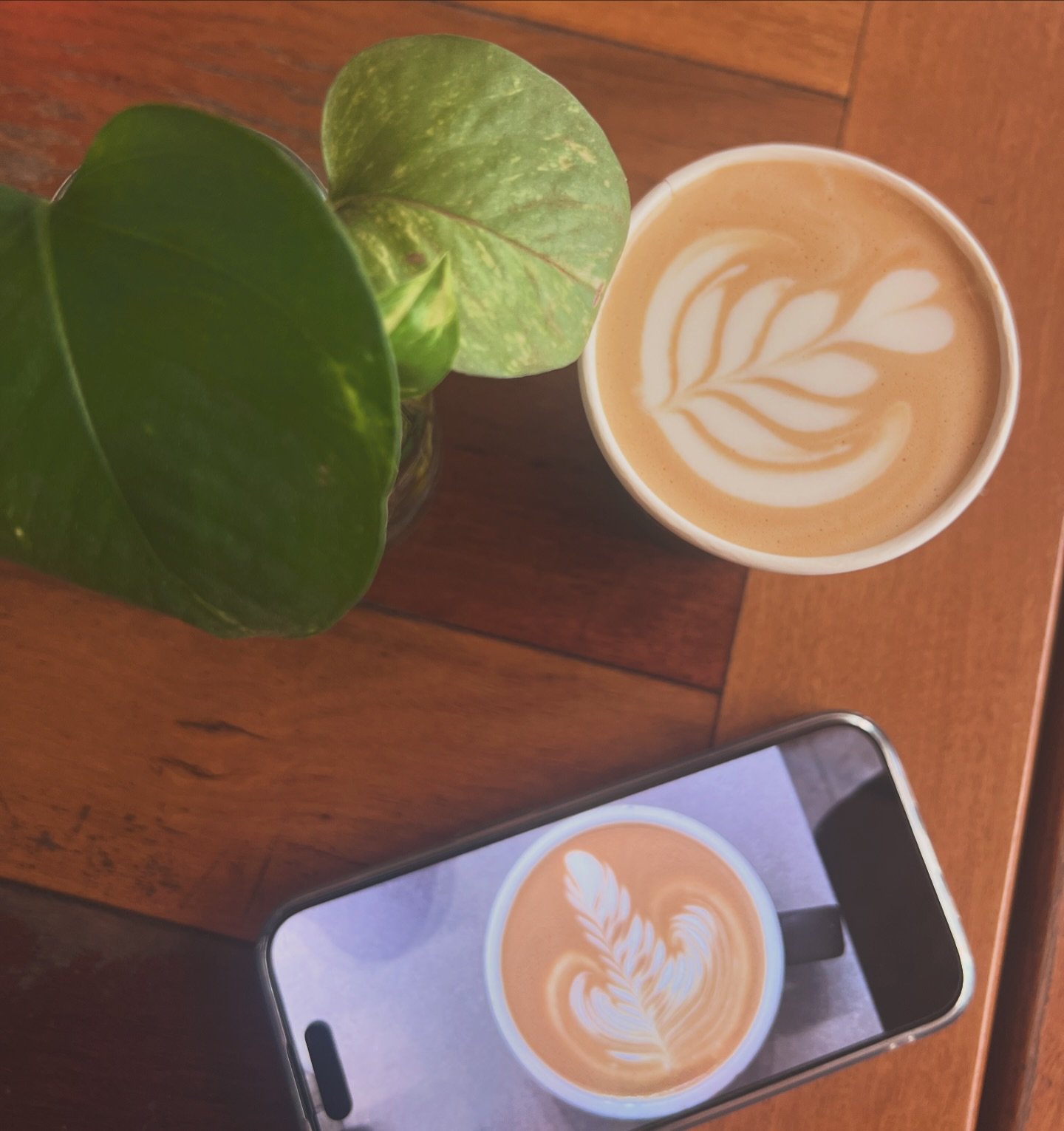 ☕️ #latteart #brisbanebarista #cafebrisbane #coffeelover