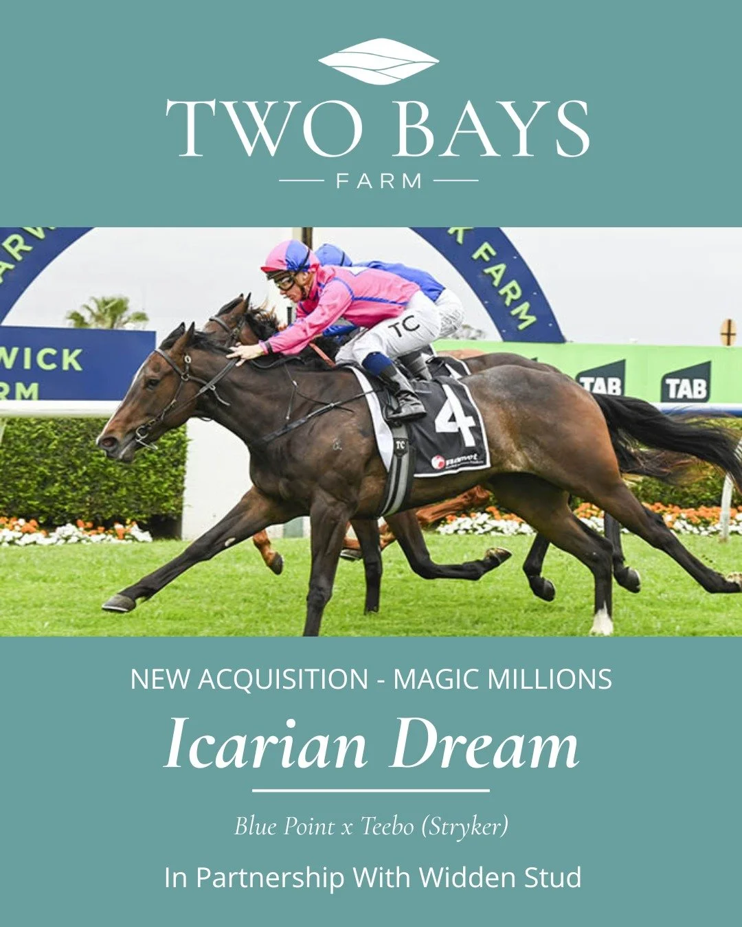 ✨ Welcome to Two Bays Farm, Icarian Dream

We are thrilled to announce the acquisition of this exceptional mare at the Magic Millions Broodmare Sale, in partnership with the wonderful team at 
@widdenstud 

We can't wait to see what the future holds 