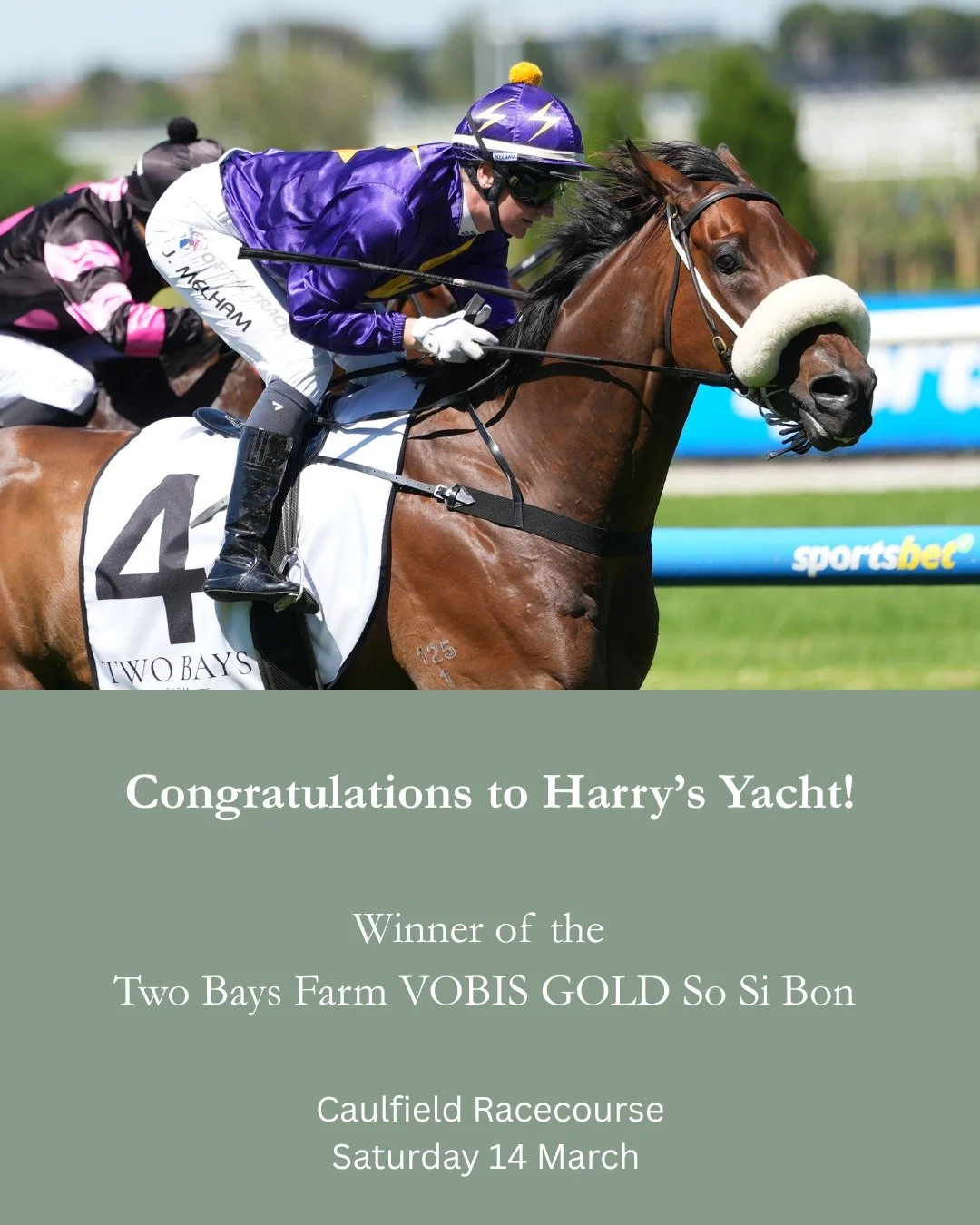 🏇 Two Bays Farm at Caulfield! 🏇

At Two Bays Farm, we are committed to supporting the long term success of our industry. We were proud to sponsor Race 3 &ndash; the Vobis Gold So Si Bon at Caulfield this past weekend, celebrating the passion and de
