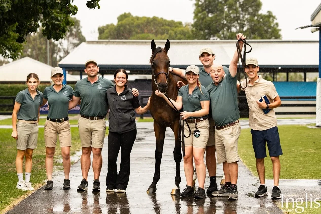 An Extraordinary Day 1 at the Inglis Premier Sale 🔥🐎

Two Bays Farm wrapped up Day 1 with the SALE TOPPER, the 2nd highest aggregate, and the 3rd highest average of all vendors&mdash;an outstanding result for the team!

Day 1 Highlights:
- Zoustar 