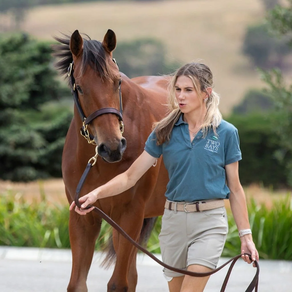 Thank you to everyone who came to the farm for our 2026 Inglis Premier parade and to our team for a great job in hot and windy conditions. 

We look forward to seeing you all at Oaklands Junction from Tuesday! 

@inglis_sales @vic_breeders @katherine