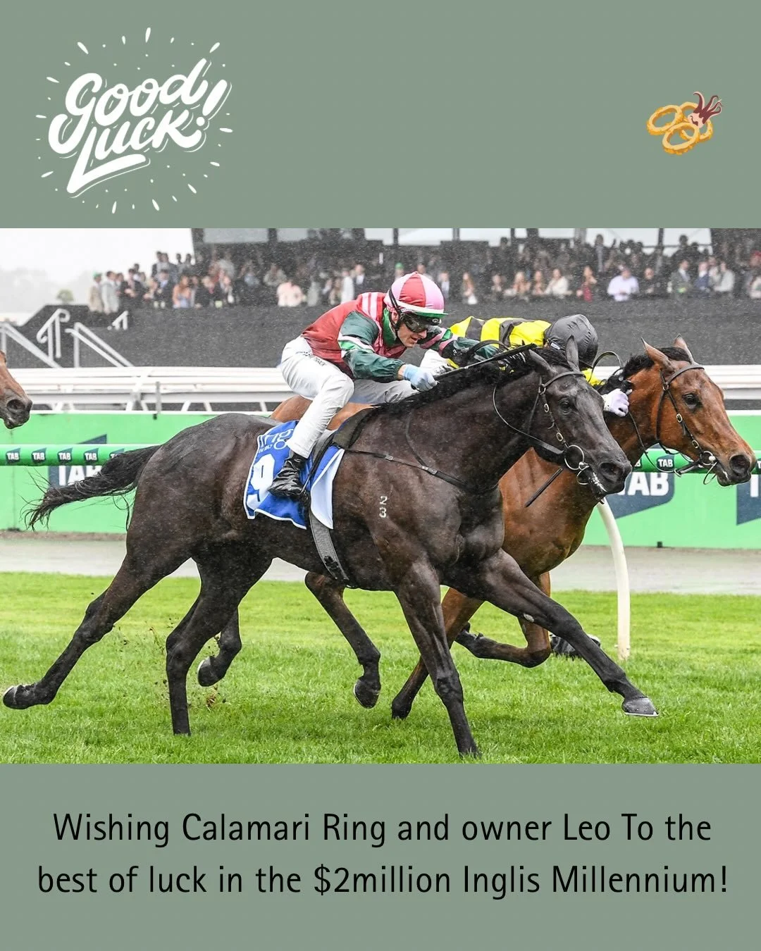 Wishing Calamari Ring (Street Boss &times; Excelsior Island) and her owner Leo To the very best of luck in the $2 million Inglis Millennium this weekend 🤞💫

Bred by Two Bays Farm, Calamari Ring made an immediate statement winning the Listed Inglis 