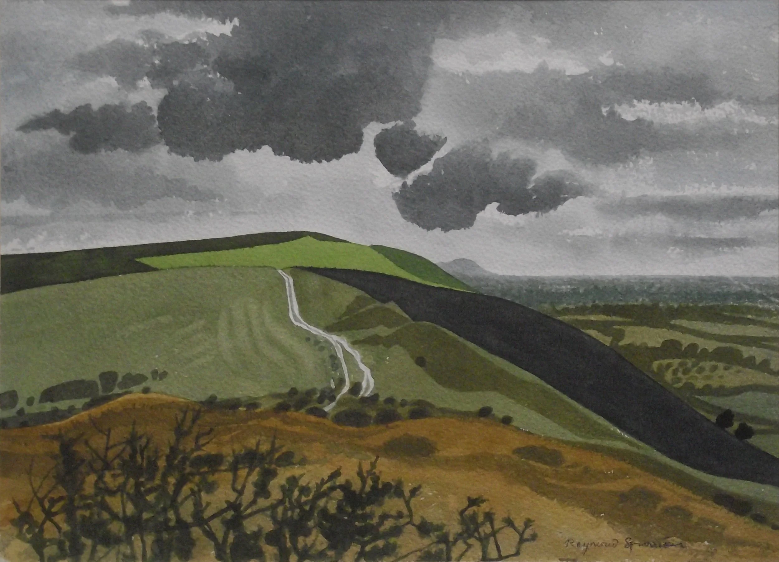 Towner Gallery, Eastbourne adds Raymond's work to the collection