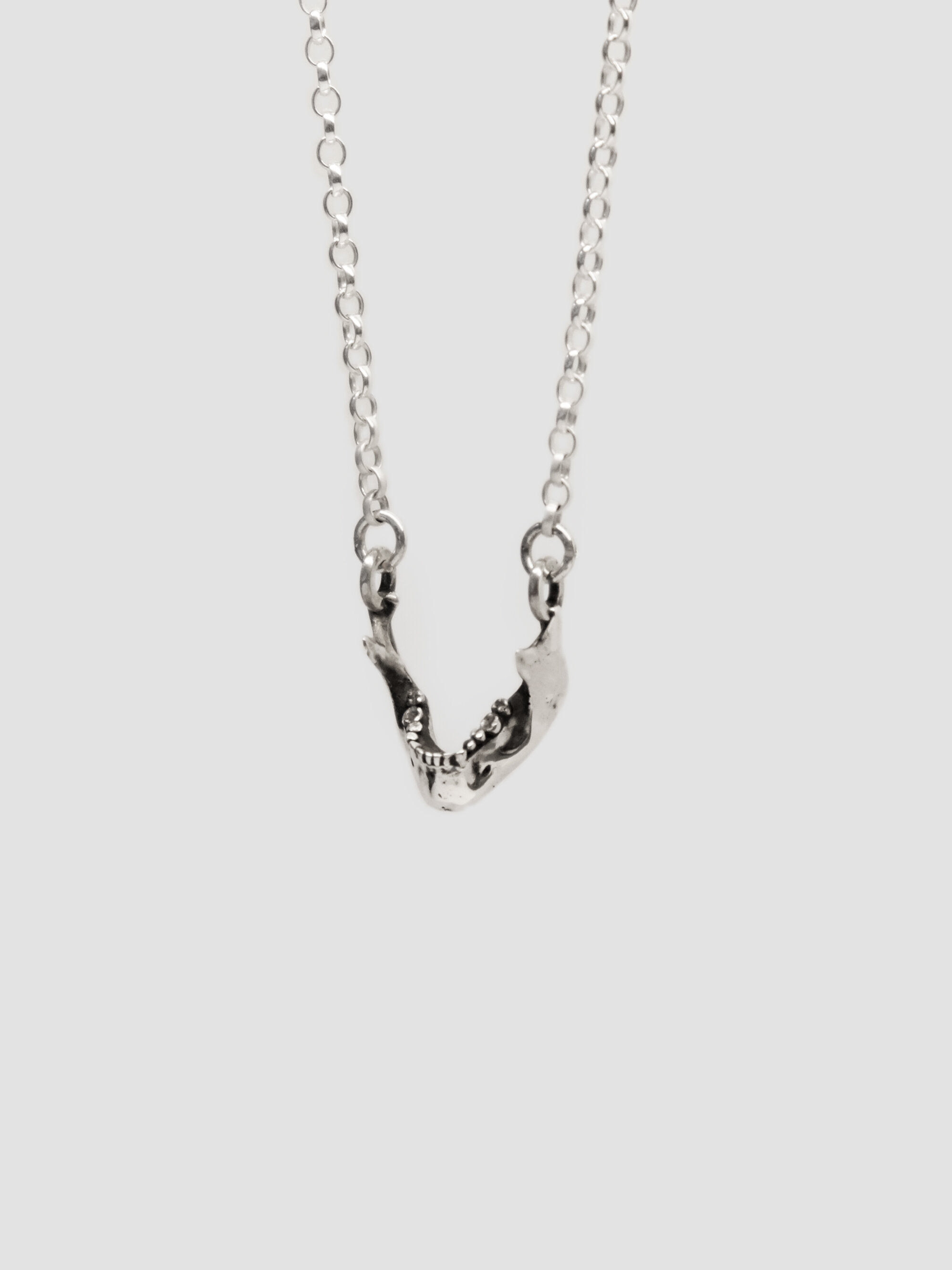 Mandible Pendant
