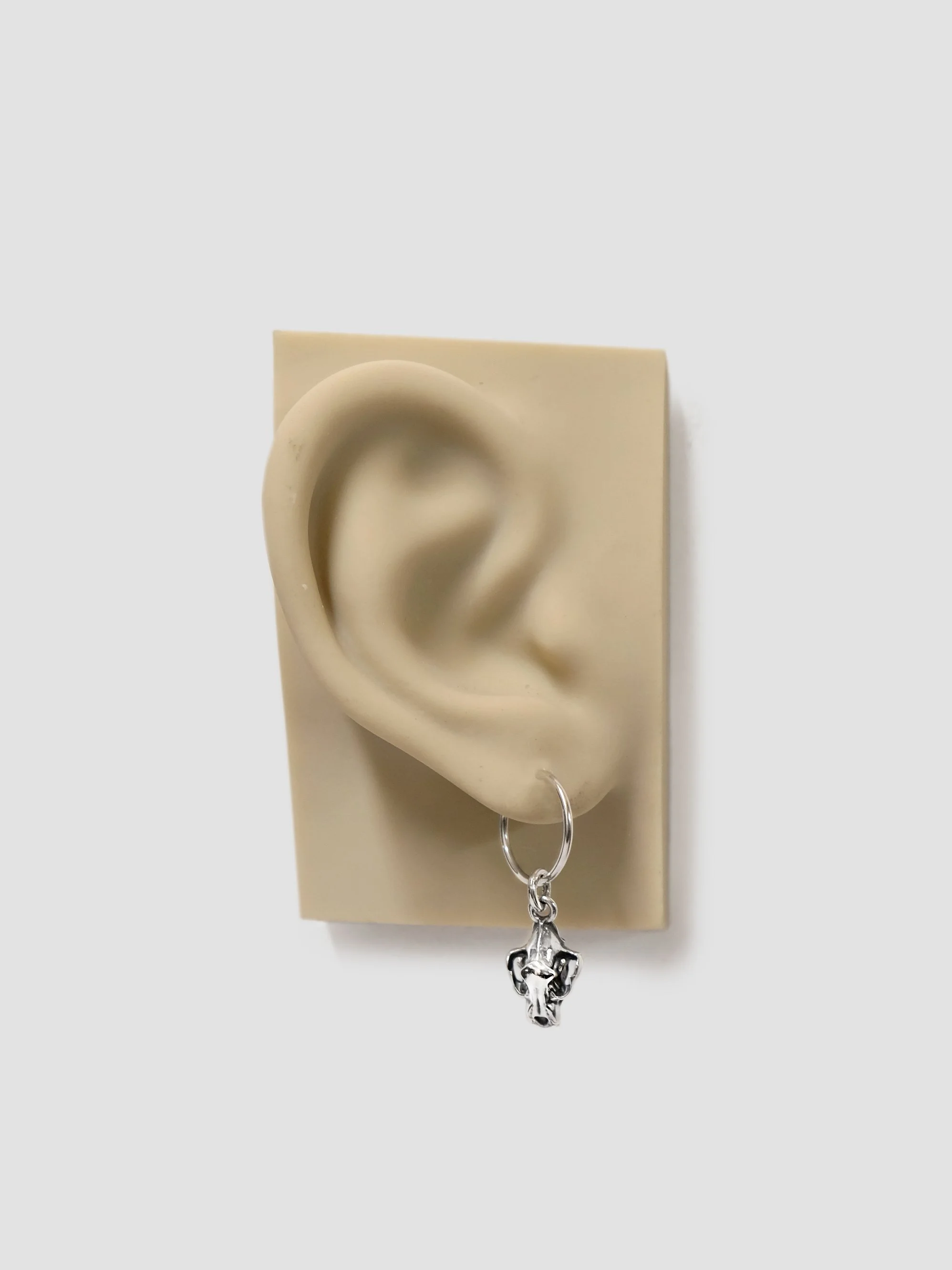09.3 LION SHOP IMAGE EAR.jpg